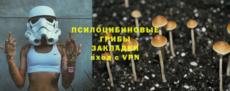 где продают наркотики  Северо-Курильск  Псилоцибиновые грибы Psilocybine cubensis 